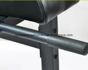 Rekkr GHD-Gym Bench GHD Roman Chair Fitness Workout Custom OEM Power Rack Squat Function Bench Folding Abdominal Developer Sale Raise Machine Roman Chair Glute Harm